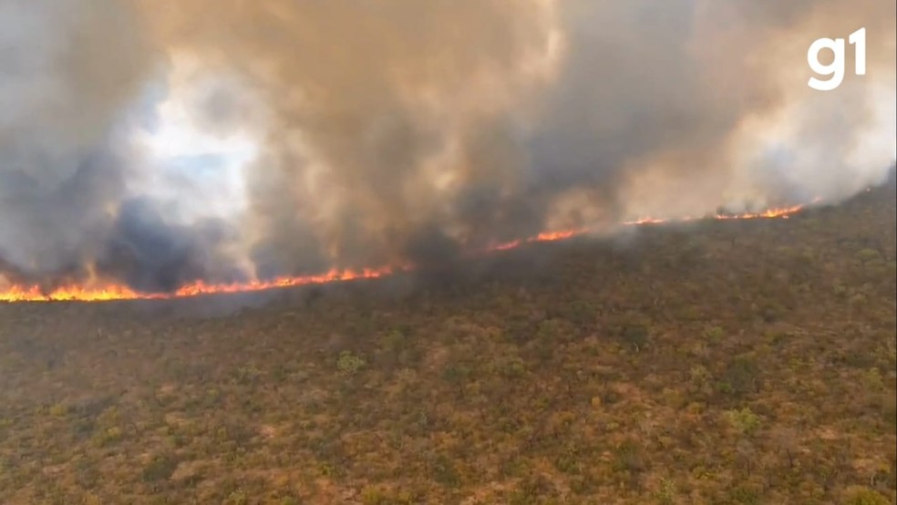 Mais de oito quilômetros já foram consumidos pelo fogo no Vale das Águas Claras, em Chapada dos Guimarães (MT) — Foto: Defesa Civil/Brigada Autônoma Jamaca Chapada Sem Fogo