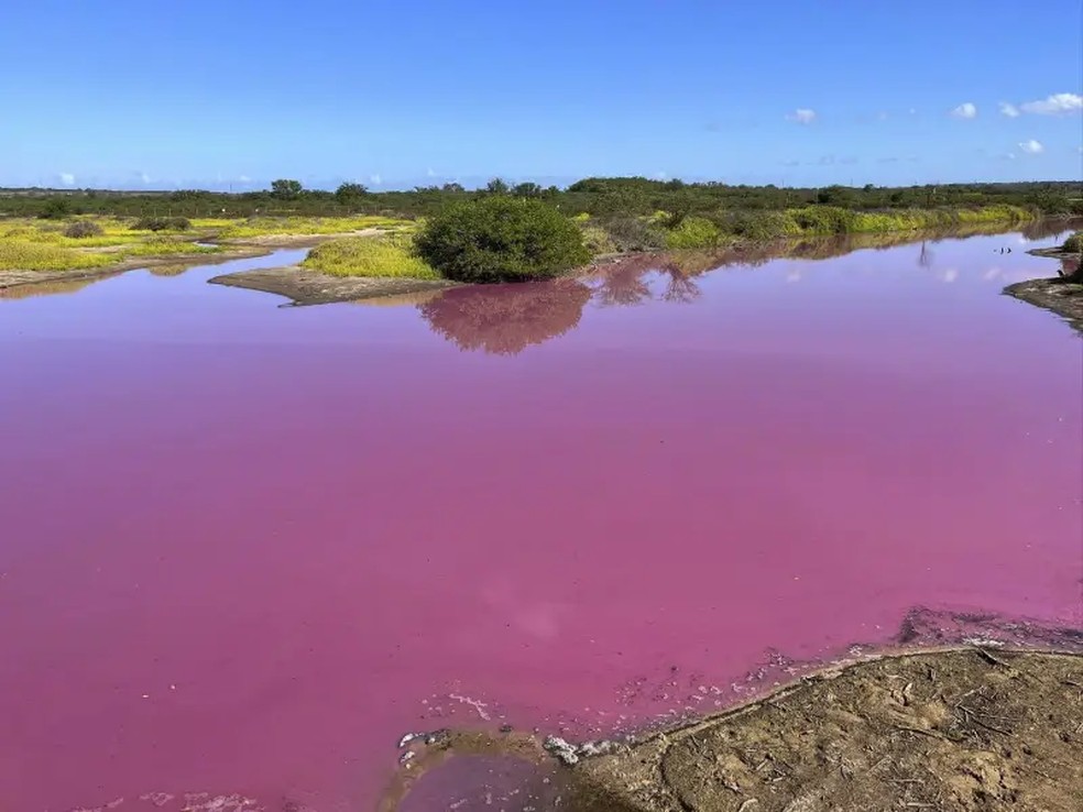 Esta foto de 8 de novembro de 2023 mostra o lago no Kealia Pond National Wildlife Refuge em Maui, Havaí, que ficou rosa em 30 de outubro de 2023.  — Foto: Leslie Diamond via AP