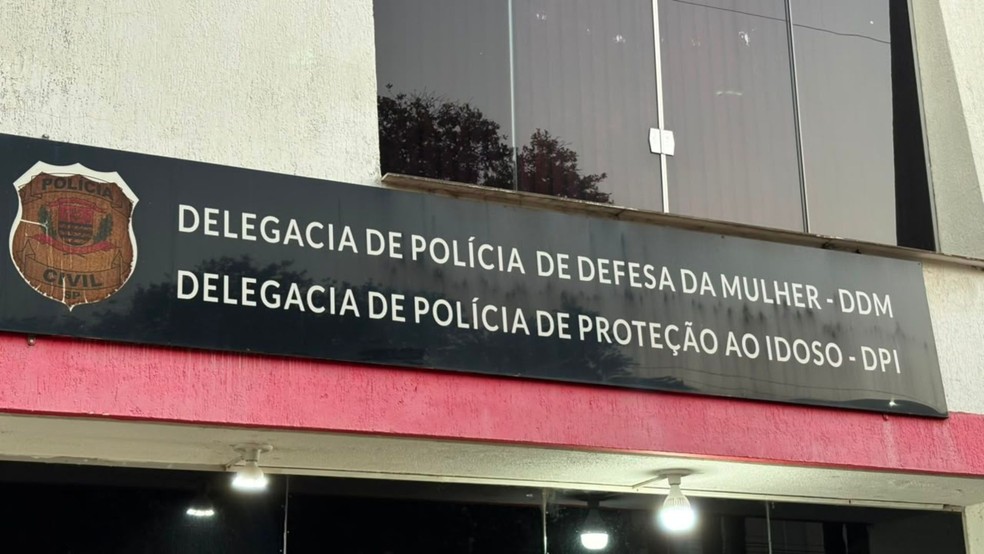 Delegacia de Defesa da Mulher de Araçatuba e Delegacia de Polícia de Proteção ao Idoso (DPPI) em Araçatuba (SP) — Foto: TV TEM/Gustavo Torrente
