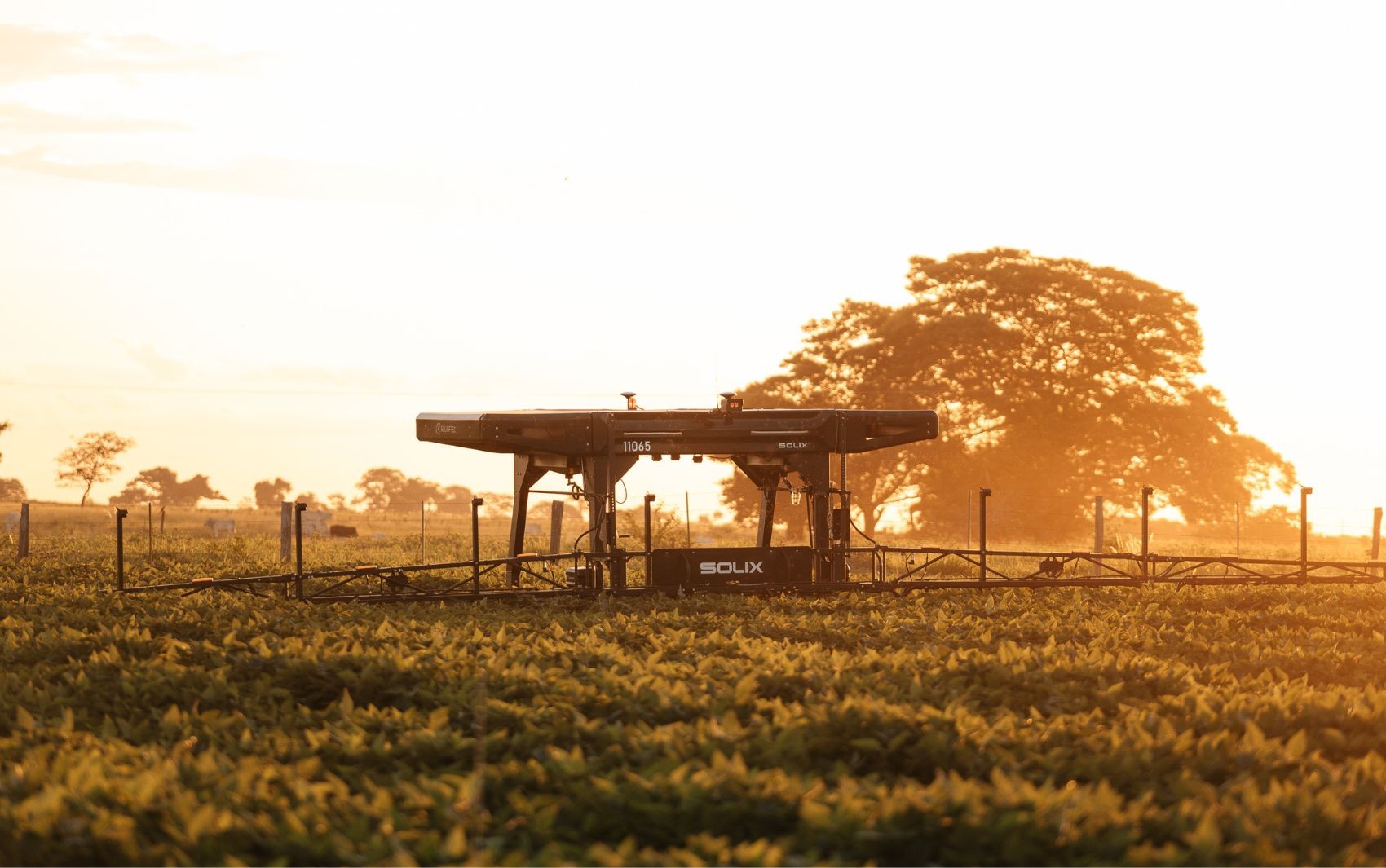 Dados, conectividade, sensores: o que é agricultura inteligente e quais são as novas aplicações no campo?