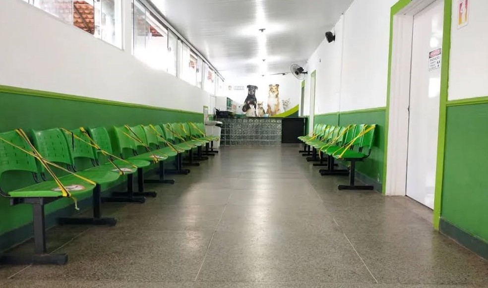 Hospital Veterinário da UEMA oferece vacinação antirrábica gratuita para cães e gatos — Foto: Divulgação/HUV/UEMA