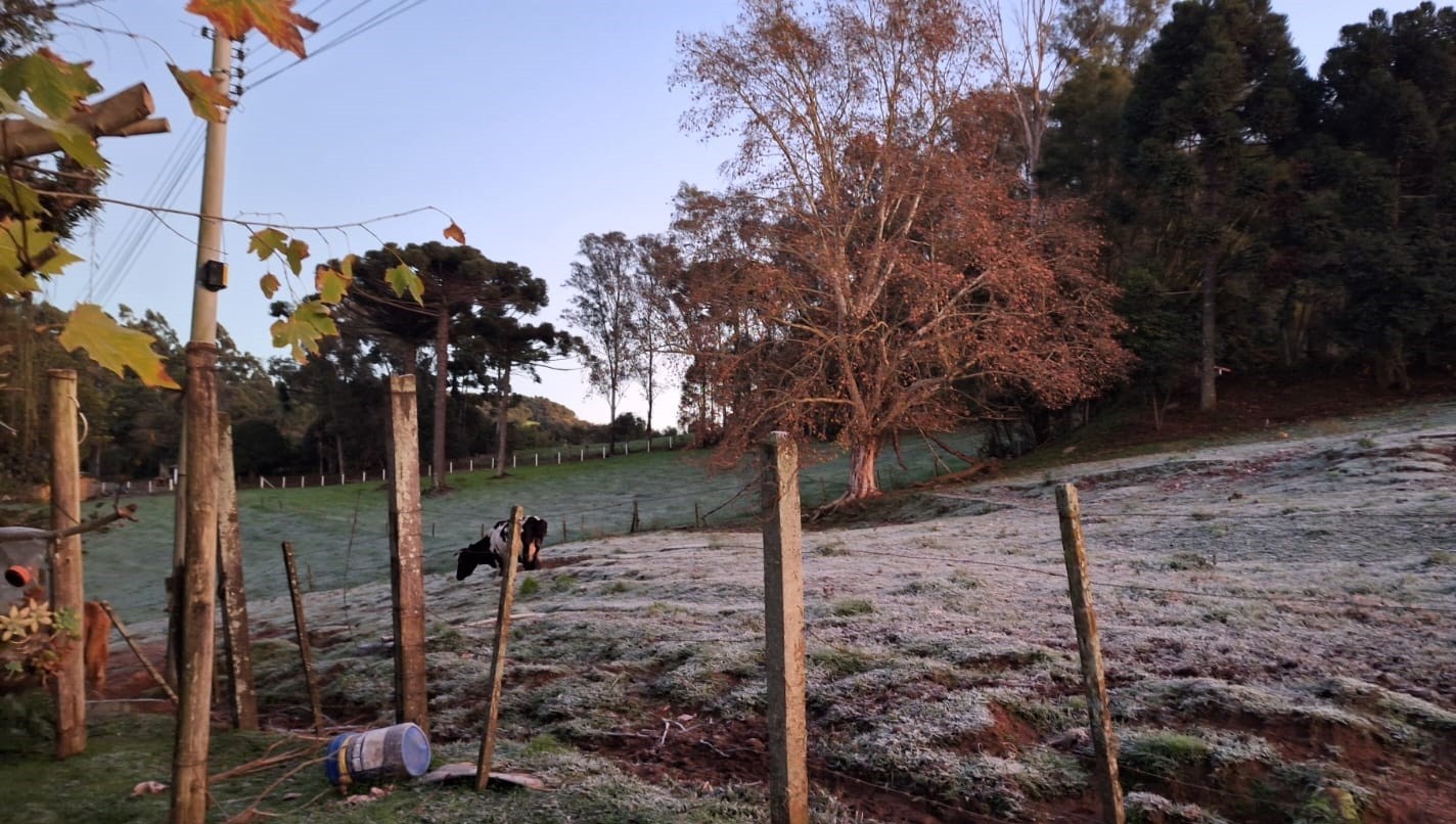 Mínima de -3,6ºC: 11 cidades registram temperaturas negativas no RS