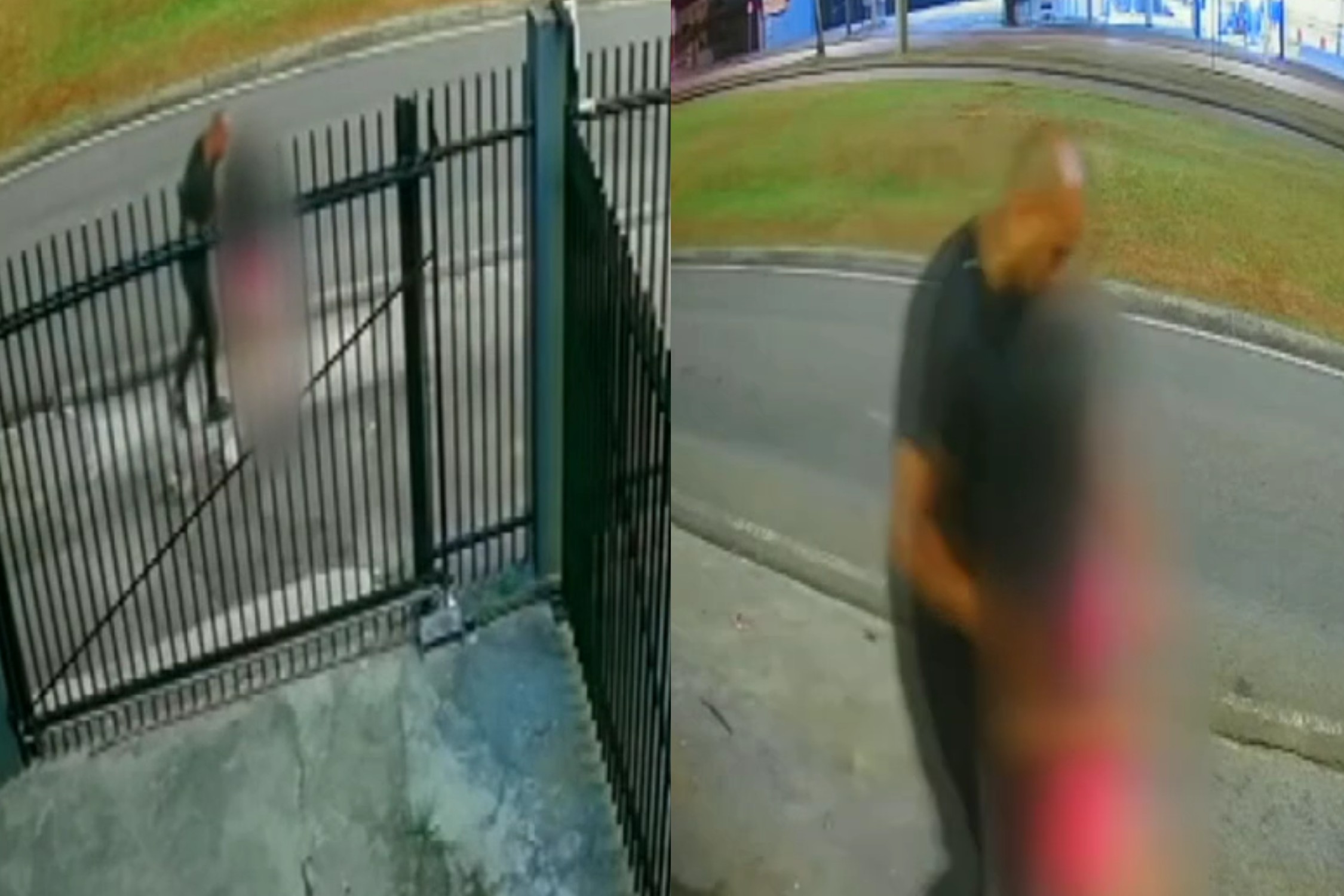 Jovem vê mulher sendo empurrada para matagal em Curitiba, aciona polícia e caso acaba em prisão por estupro