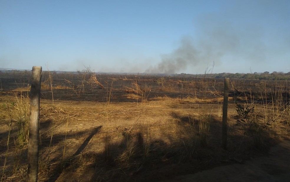 Pastagem de fazenda e área de preservação foram queimados — Foto: Defesa Civil Talismã/Divulgação