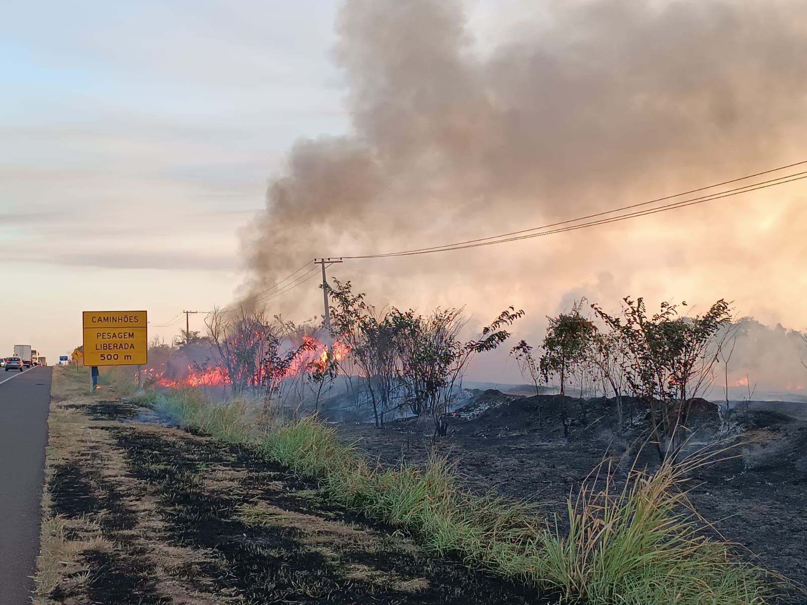 
Incêndio atinge vegetação às margens de rodovia em Santo Antônio do Aracanguá