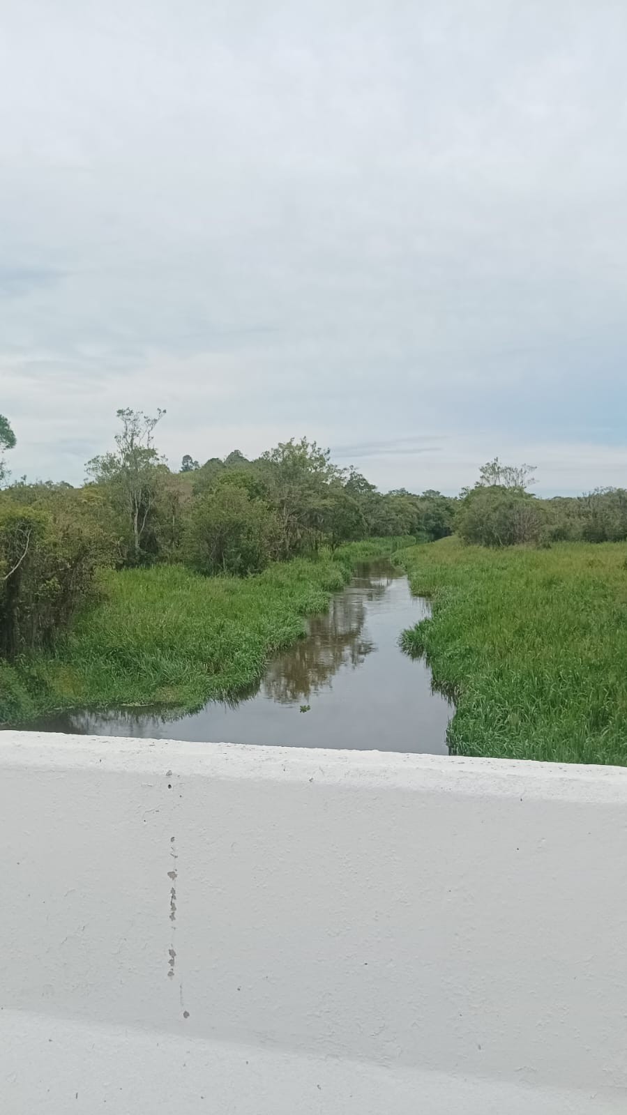 Bombeiros realizam buscas à criança que se afogou no Rio Tietê em Biritiba Mirim