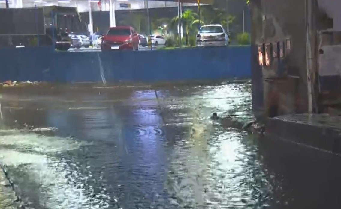 Queda de árvore e alagamentos marcam terça-feira chuvosa em Salvador