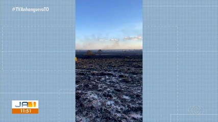 Incêndio de grandes proporções atinge área de colheita do capim-dourado no Jalapão