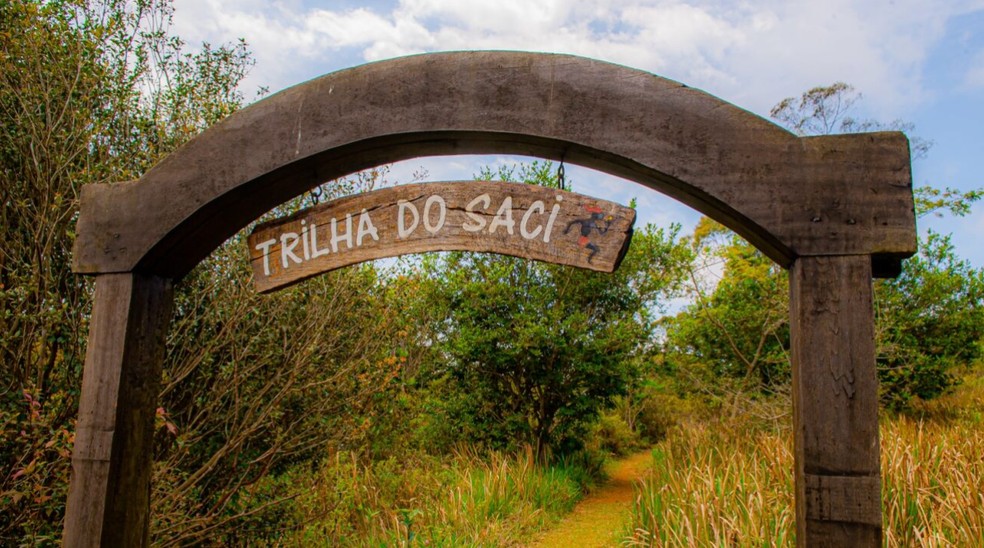 Trilha do Saci no Parque Natural Municipal Jaceguava — Foto: Daniel Deák/SPTuris