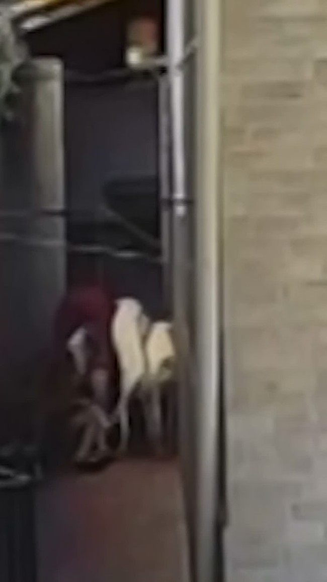 Vídeo mostra adolescente sendo espancado por padrasto lutador de muay thai e taekwondo