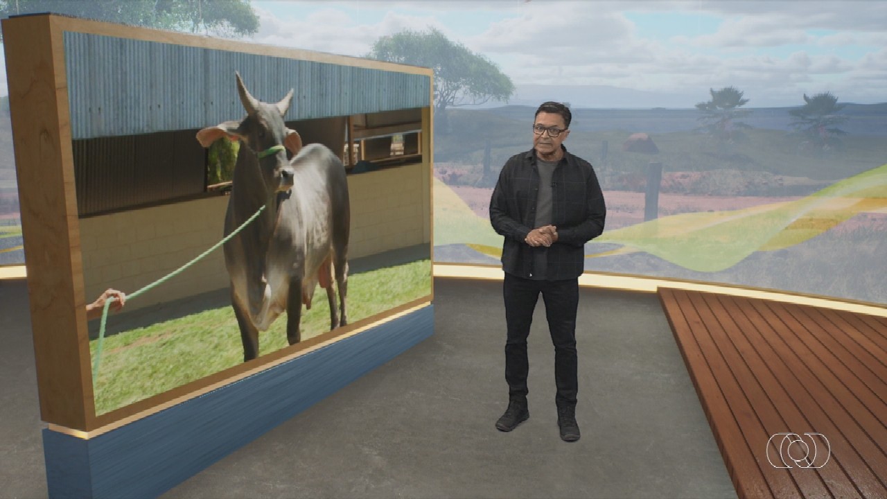 Você Não Tá Convidada pro Meu Bat Mitzvá!