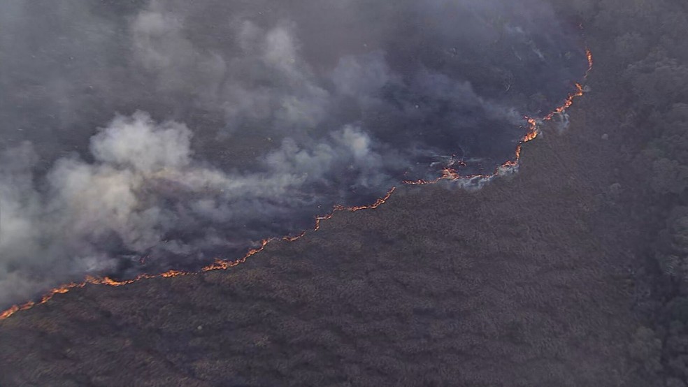 Corpo de Bombeiros informou que oito viaturas se deslocaram para a Serra da Moeda — Foto: Reprodução/TV Globo