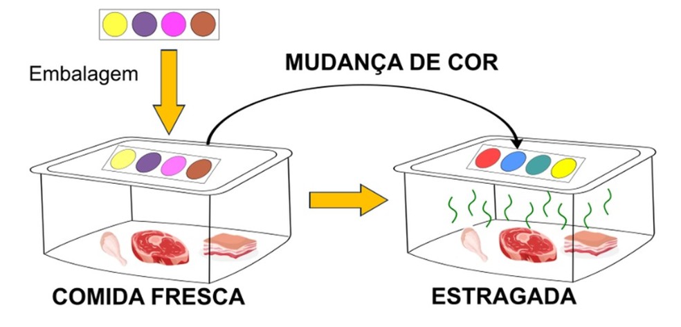 Bioplástico desenvolvido pela USP, Unesp e UFU "deduram" se a comida está estragada — Foto: IQSC/USP/Divulgação