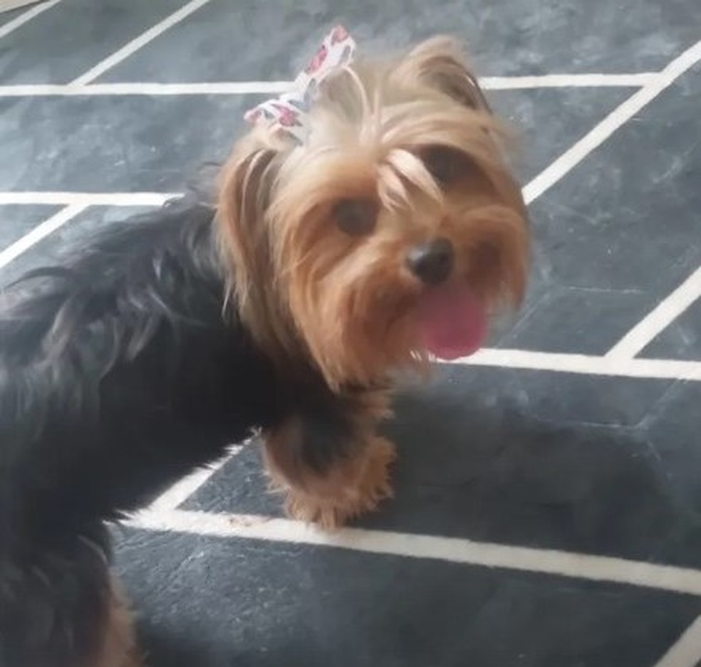 Alicinha após resgate em prédio de Guarulhos, na Grande SP — Foto: Arquivo Pessoal