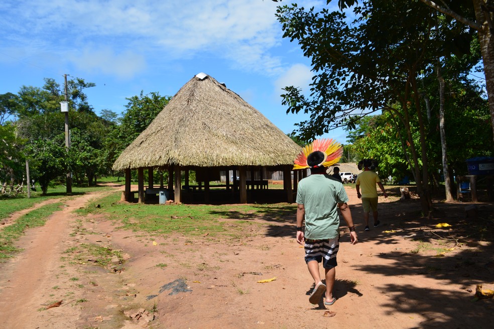 Aldeia indígena Lapetanha na TI Sete de Setembro, em Cacoal — Foto: Emily Costa/g1 RO