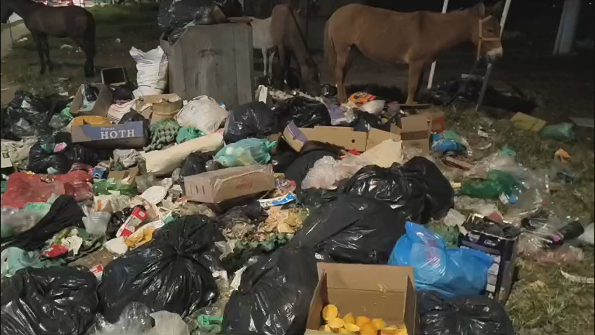 Garis retomam as atividades no DF após paralisação de dois dias