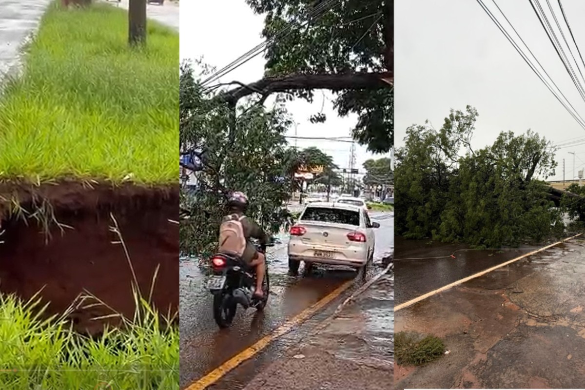 Chuva abre cratera e causa queda de árvores em Campo Grande; vias são interditadas