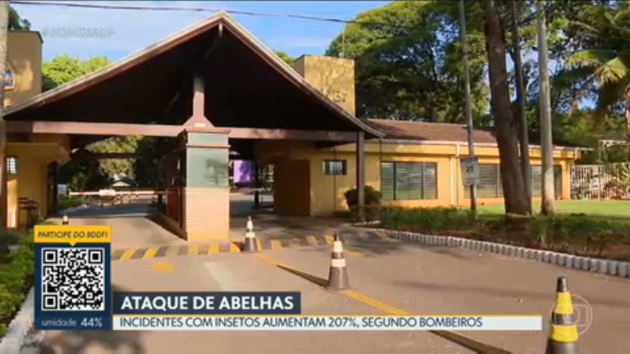 VÍDEOS: Bom Dia DF de quarta-feira, 29 de outubro de 2025