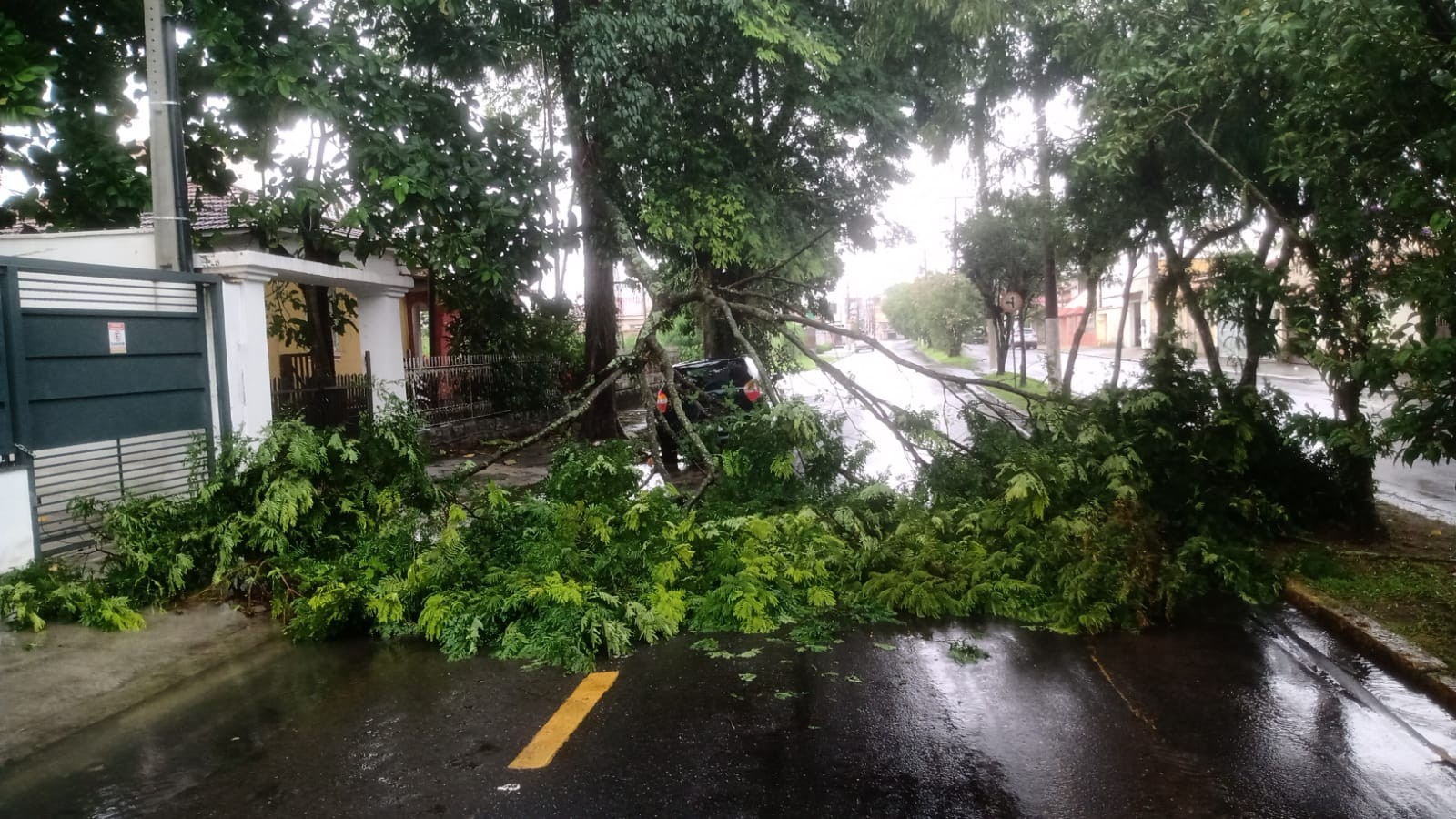 Chuva forte alaga ruas e derruba árvores em Resende e Paraty