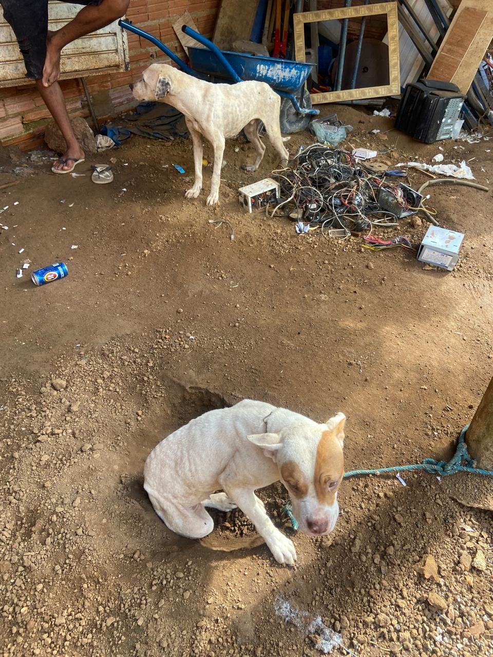 Você Não Tá Convidada pro Meu Bat Mitzvá!