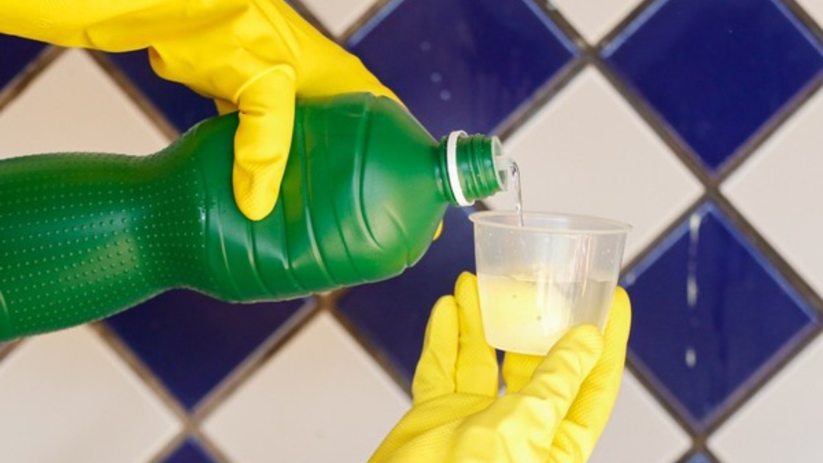 Como tirar mofo de casa; confira soluções simples