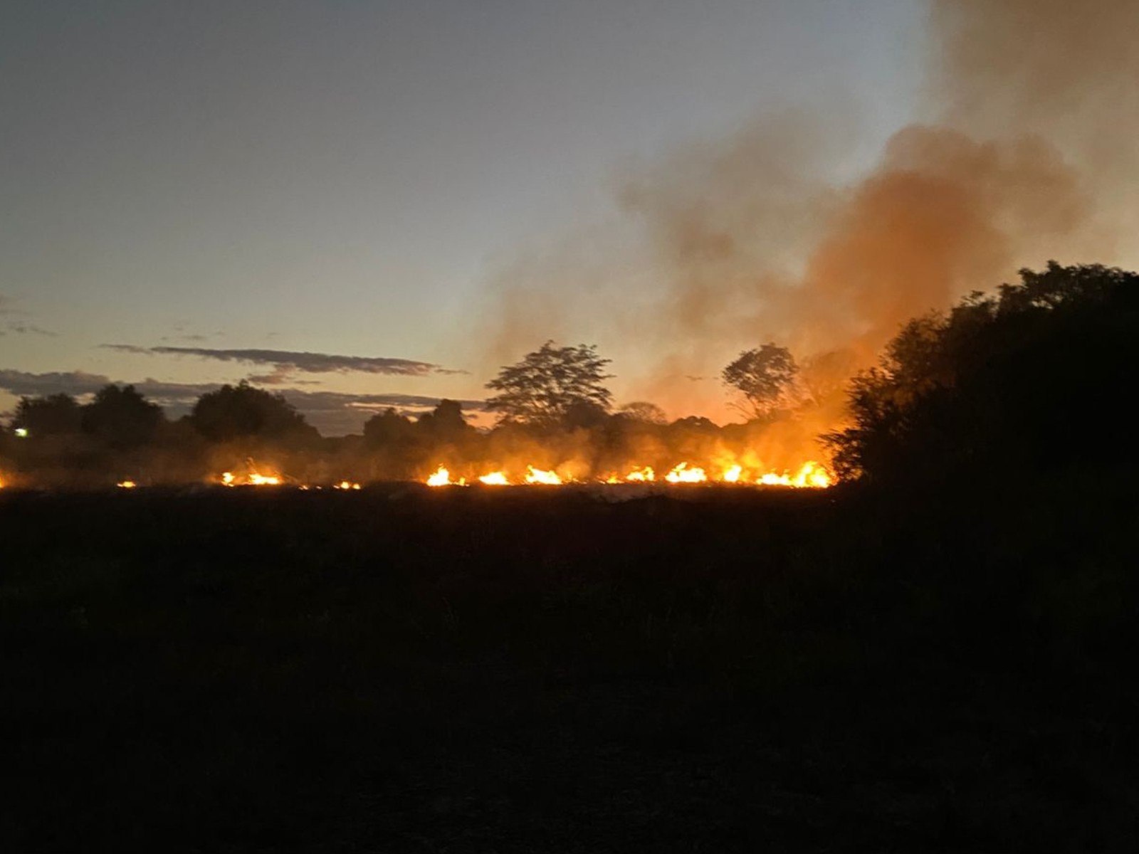 Incêndio atinge vegetação próxima à residências em Januária