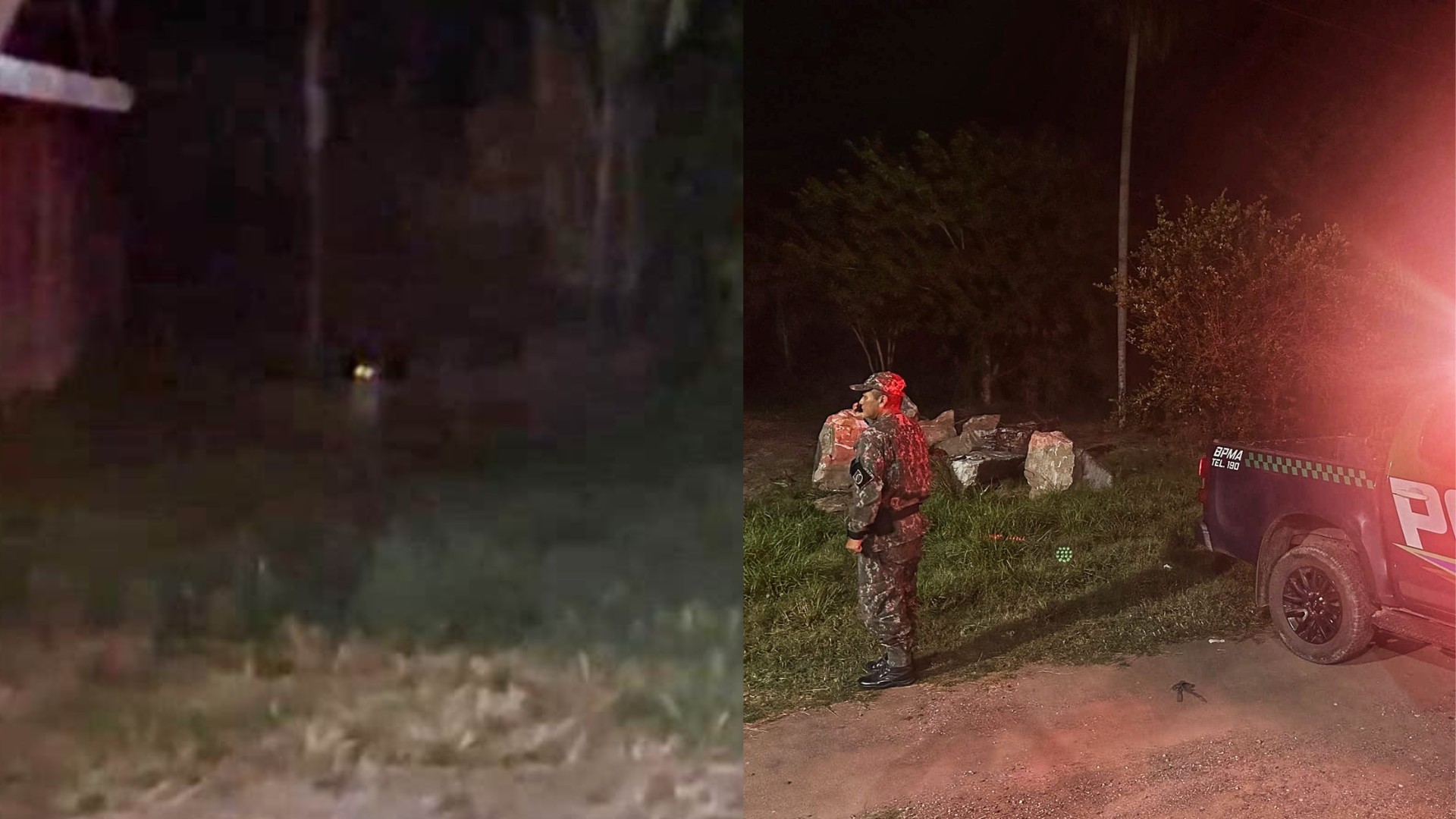 VÍDEO: Onça-pintada é vista em mais um passeio em área residencial durante patrulha noturna da PMA