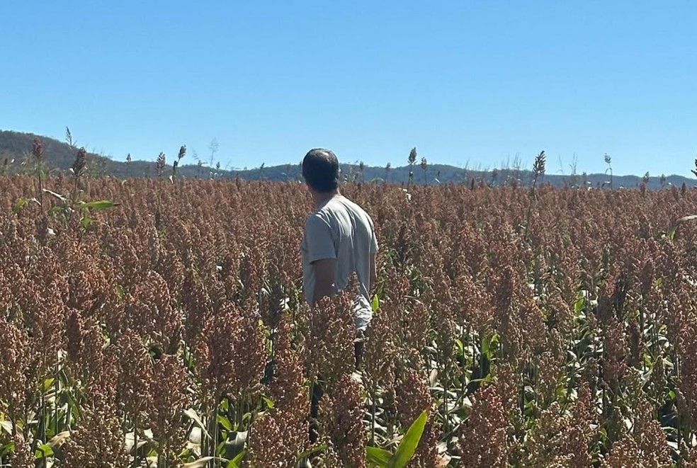 Maeus Solano posta foto em meio à soja, em Bonito (MS). — Foto: Reprodução/Redes sociais