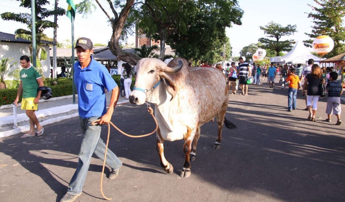 Expoece volta a ocorrer após dois anos suspensa por pandemia de Covid ...