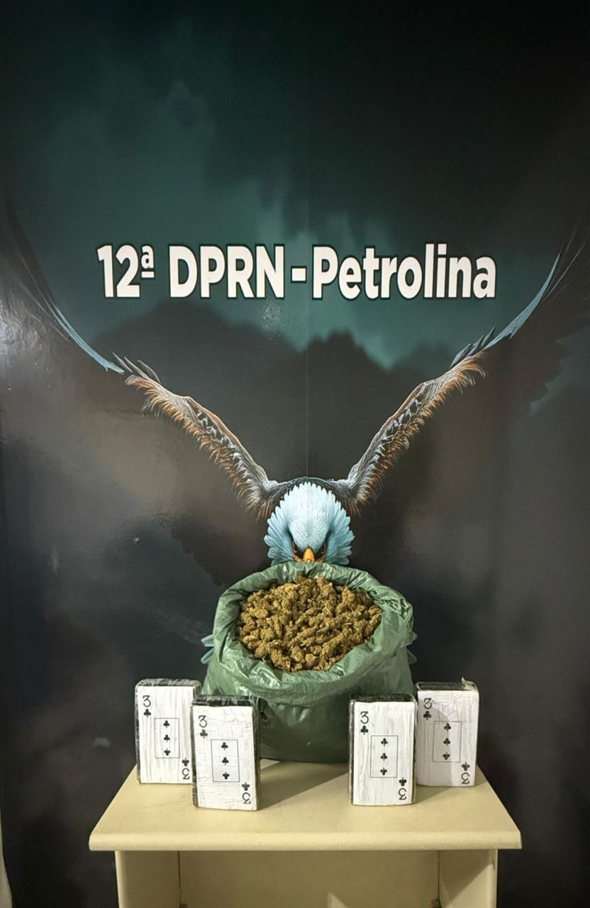 Homem é preso com mais de 7 kg de maconha e 4 kg de cocaína em Petrolina