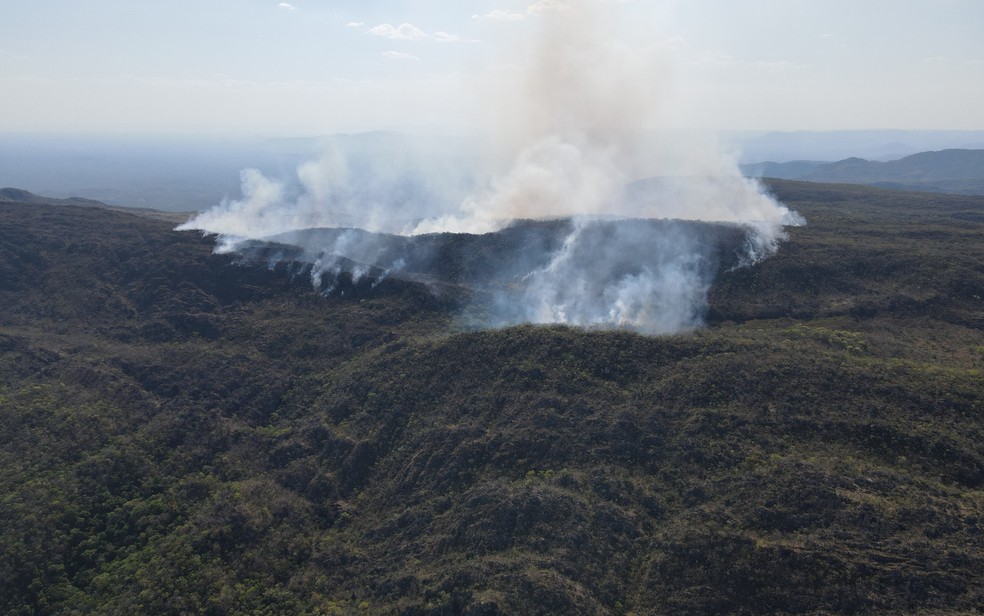 Incêndio na Chapada dos Veadeiros: cerca de 100 pessoas se revezam 24 horas para evitar que fogo chegue a parque nacional em Cavalcante, Goiás, dizem bombeiros — Foto: Divulgação/Brivac - Felipe Colens