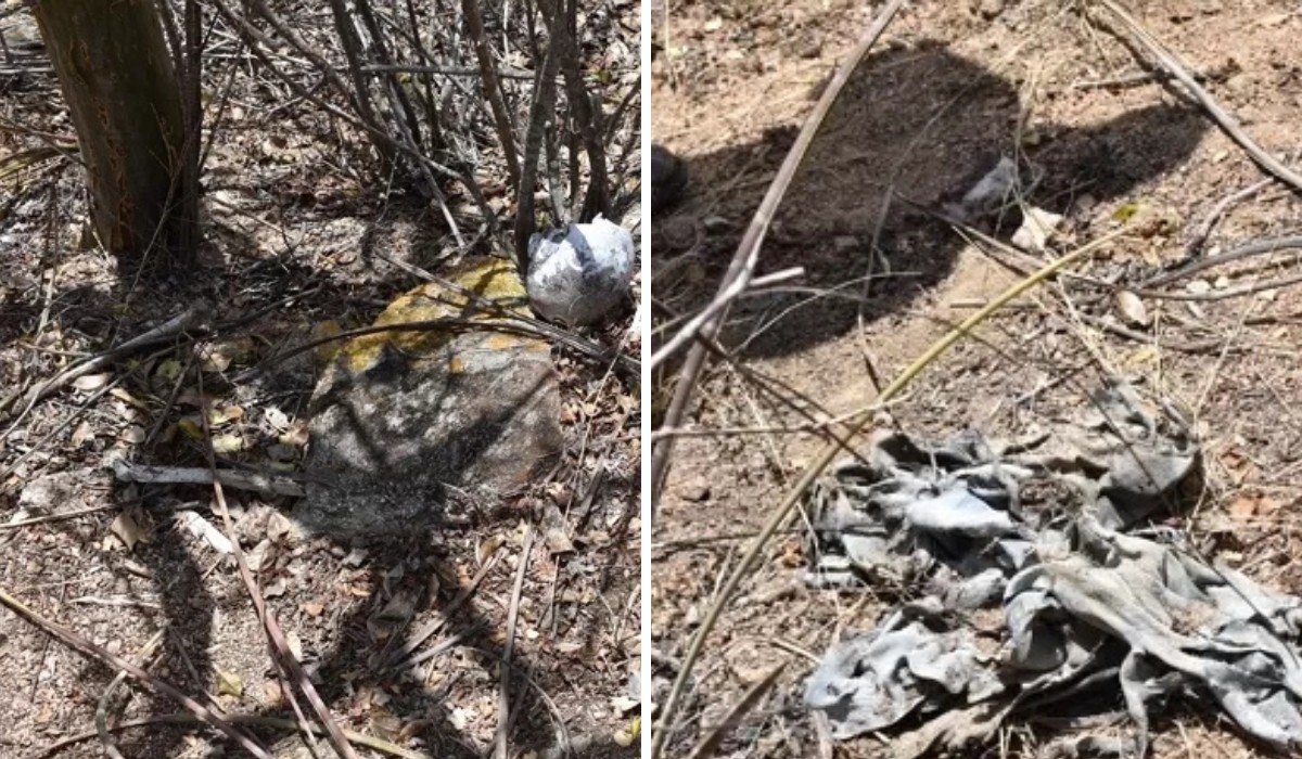 Crânio humano é encontrado na Zona Rural de Paranatama