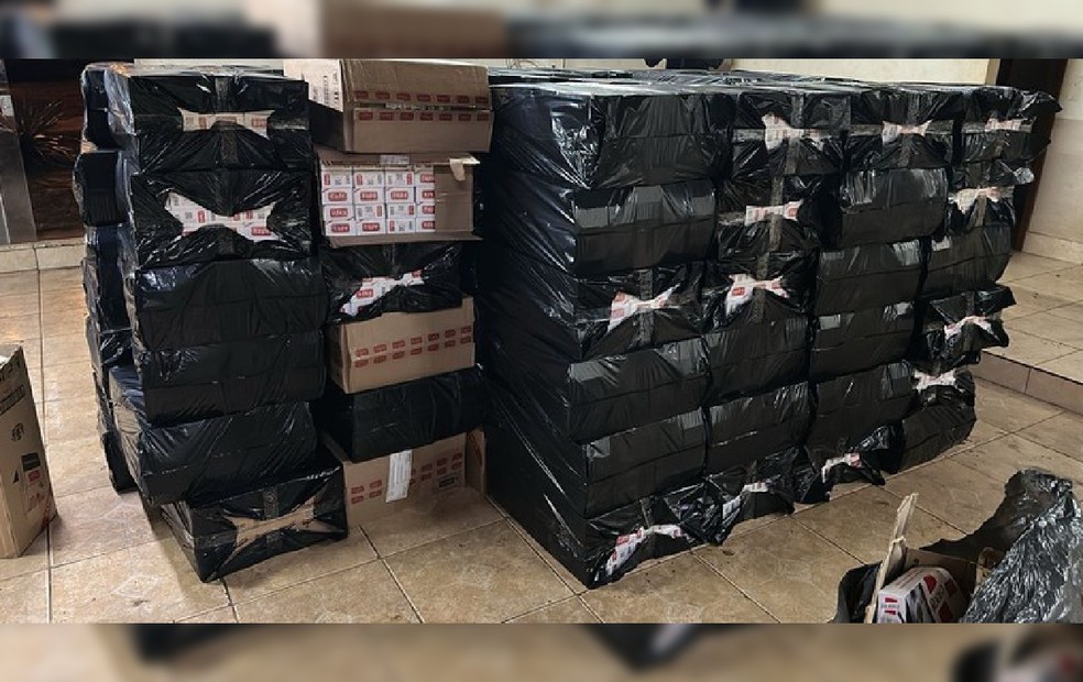 A Polícia Federal deflagrou a Operação Bonsak com o objetivo de desarticular organização criminosa  — Foto: Polícia Federal