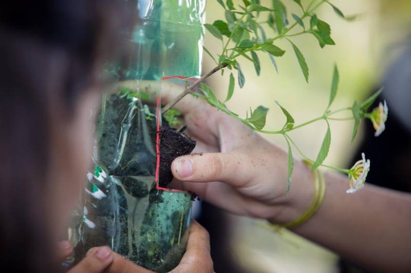 Escola estadual de Santarém desenvolve projeto de educação ambiental com foco na COP 30 