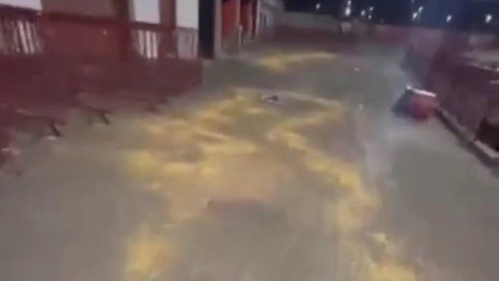 Milhos tamb&eacute;m foram jogados na frente do est&aacute;dio Barrad&atilde;o, em Salvador &mdash; Foto: Redes sociais