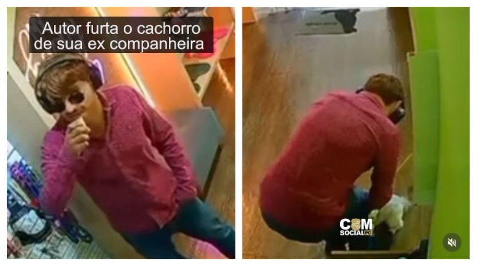 Homem de 29 anos é flagrado por câmera de segurança de pet shop com máscara realista (à esquerda). Ele usou disfarce para furtar cão da ex-namorada (à direita). — Foto: Divulgação/Polícia Civil