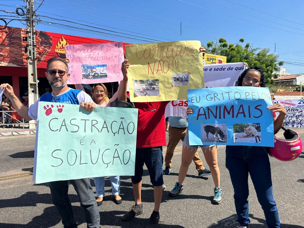 Proteção aos animais também foi tema em Mossoró — Foto: Iara Nóbrega/Inter TV Costa Branca