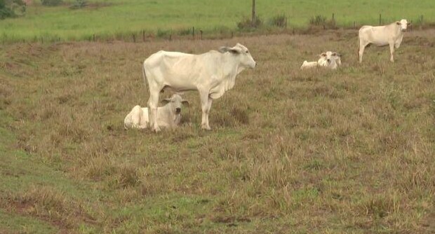 Você Não Tá Convidada pro Meu Bat Mitzvá!