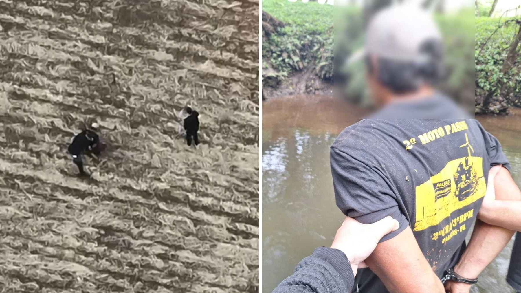 Vizinha ouve gritos e salva criança de estupro no PR: veja vídeo do momento em que suspeito foi preso