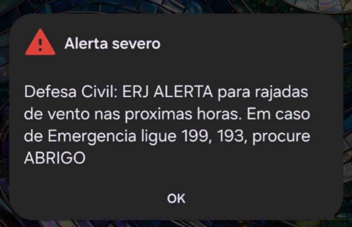 Defesa Civil emite alerta severo de rajadas de vento para cidades do Sul do Rio