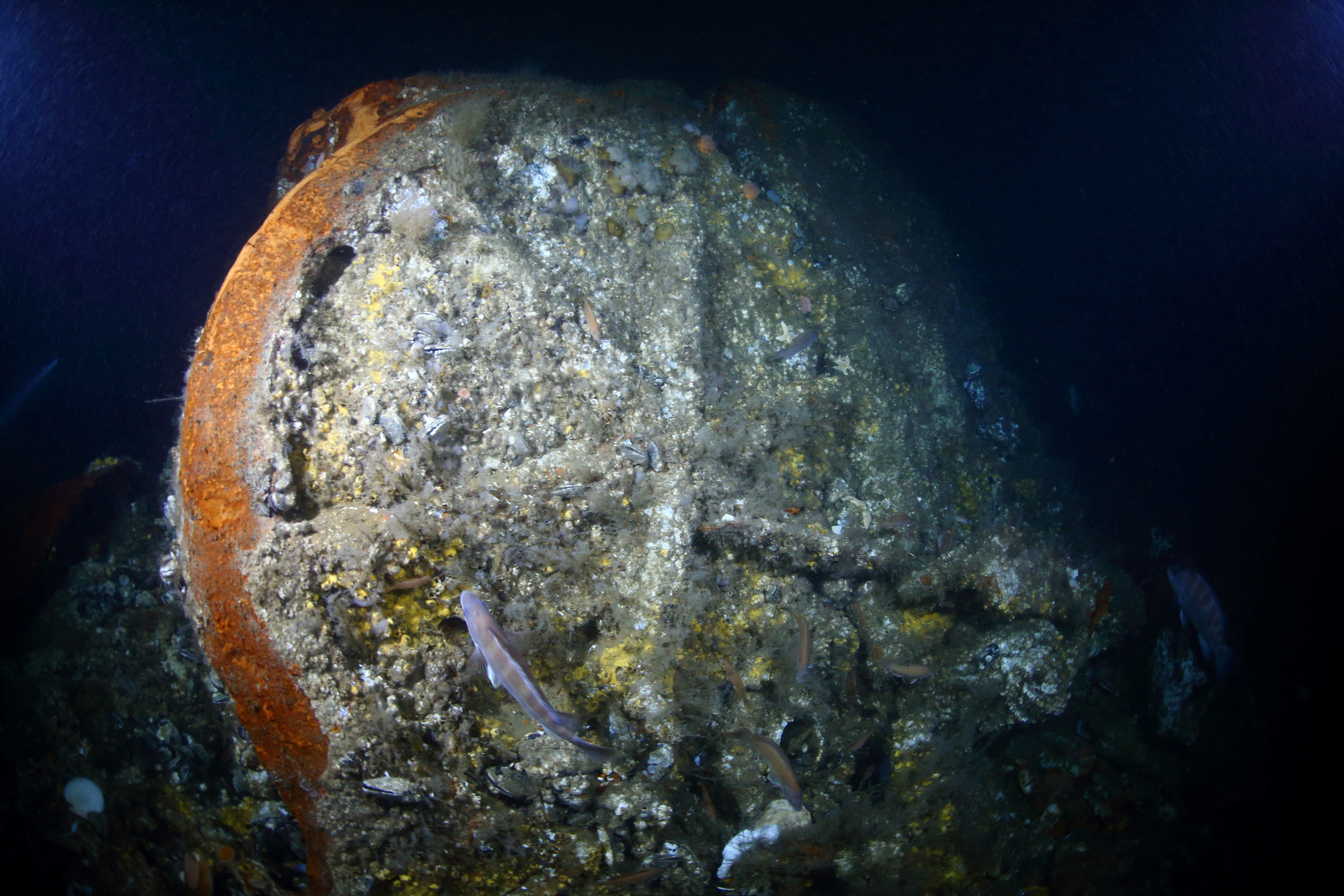 Destroços de navio francês que naufragou em 1856 são encontrados