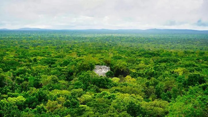 A cidade Maia milenar encontrada por acaso por estudante de doutorado