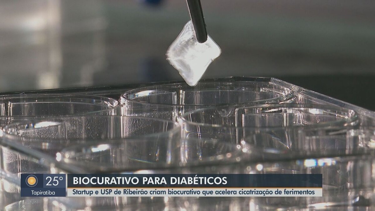 Avec les cellules souches et l’impression 3D, le biodressing peut accélérer la cicatrisation des plaies ;  comprendre |  Ribeirao Preto et Franca