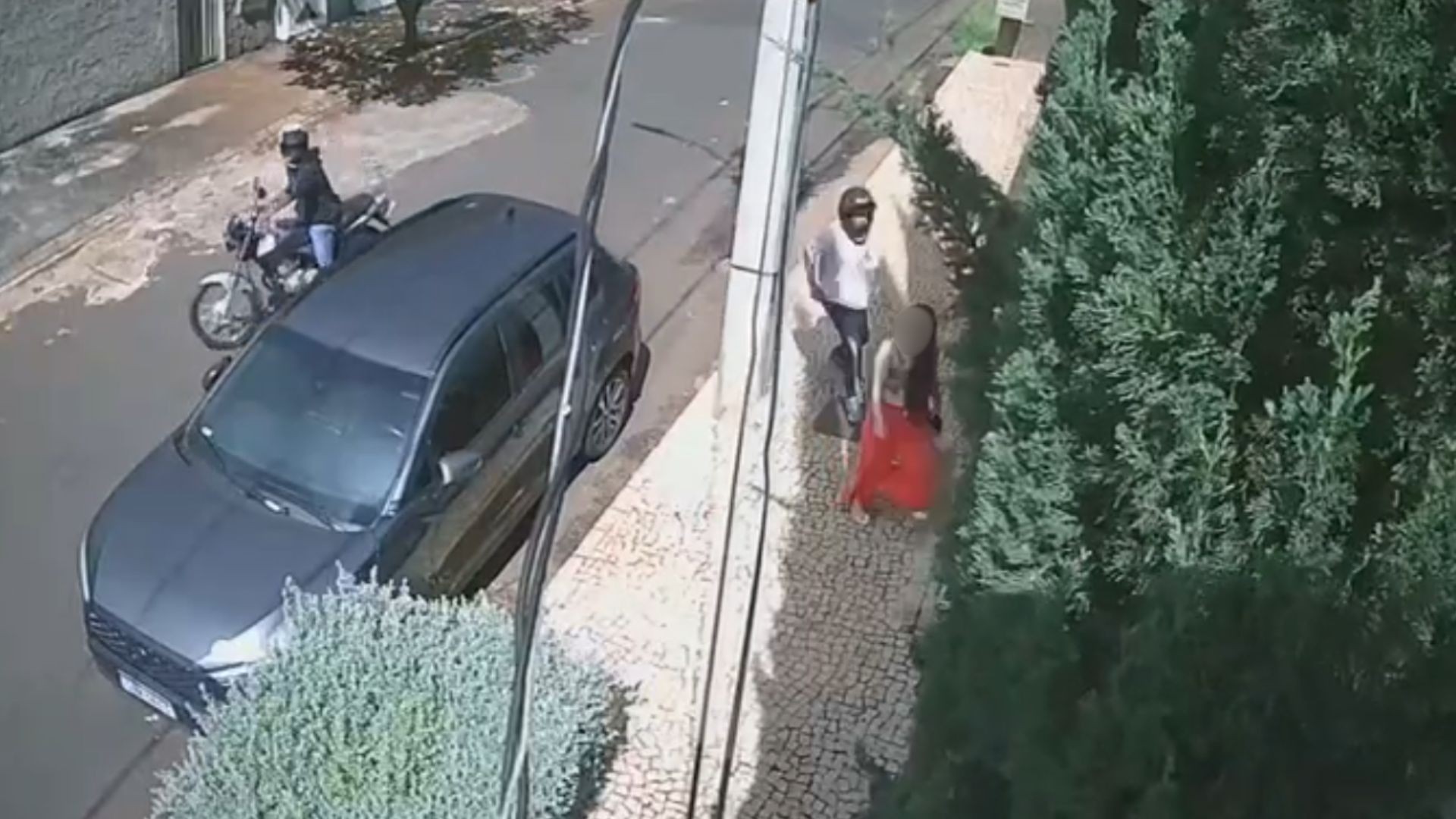 VÍDEO: Veterinária é rendida, agredida e tem carro roubado ao chegar para atendimento domiciliar em Uberlândia