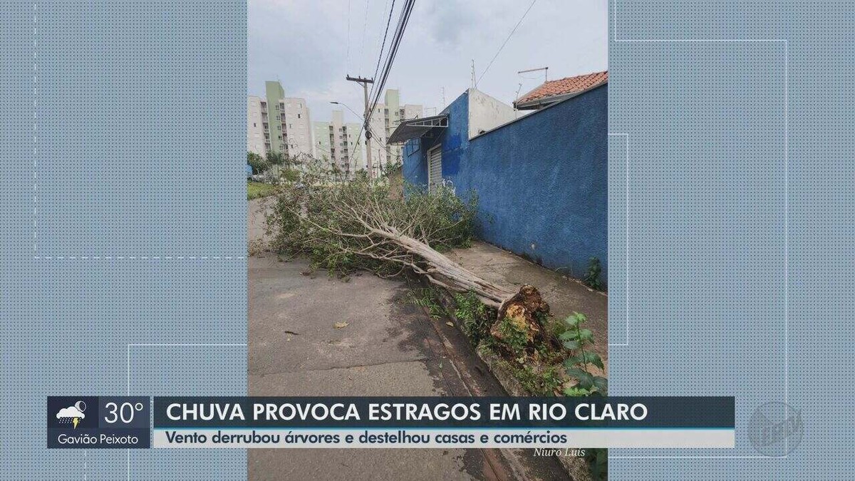 Vento derrubou árvores e destelhou casas e comércios em Rio Claro