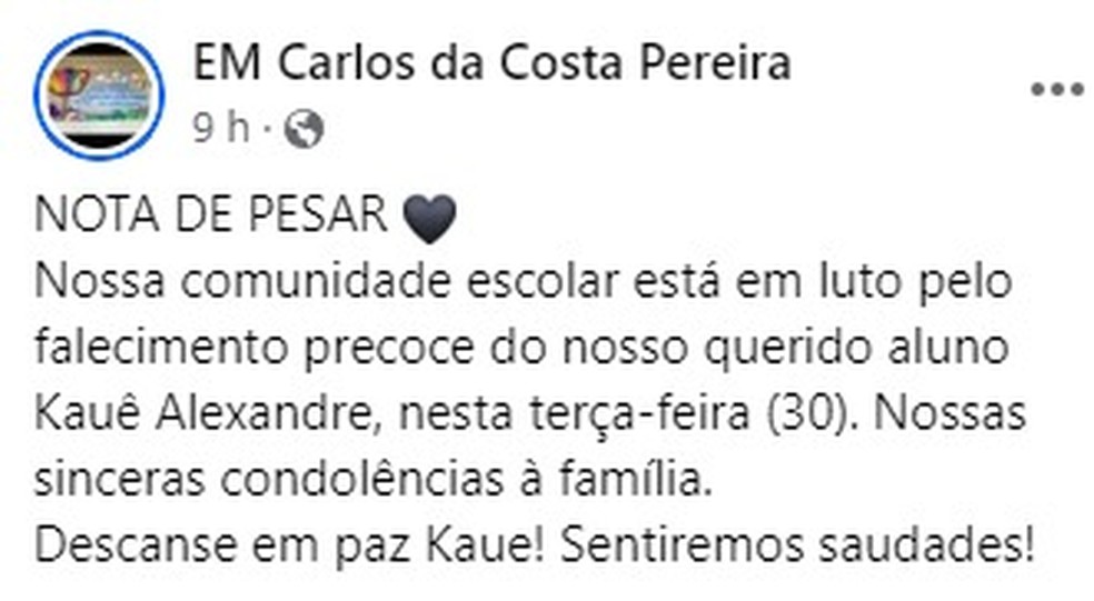 Escola lamenta morte de aluno picado por serpente em SC — Foto: Redes sociais/Divulgação