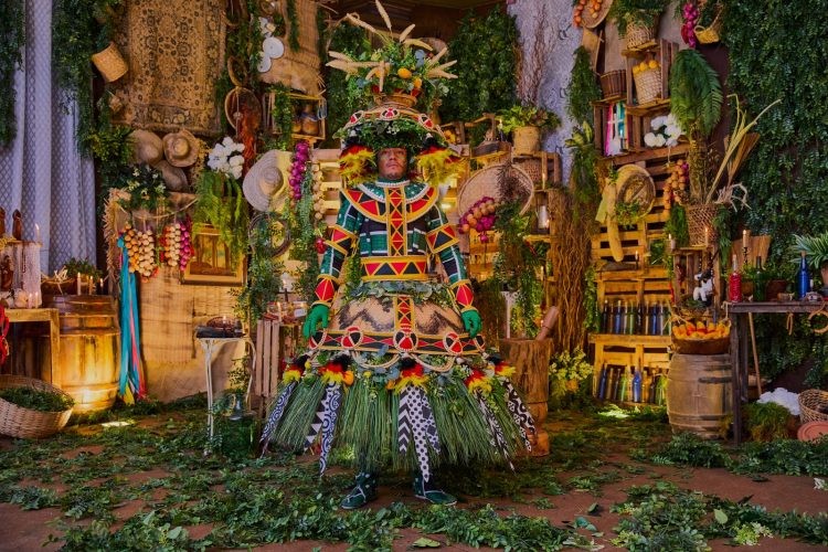 Quer desfilar ? Veja as escolas que ainda têm fantasias à venda para o carnaval 2026