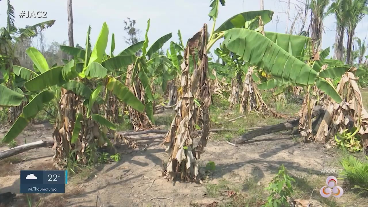 Com estimativa de 3ª pior seca, Defesa Civil entrega mantimentos a moradores da zona rural de Rio Branco