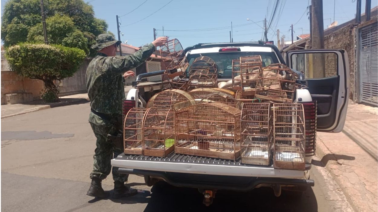 Polícia multa homem em R$ 28,5 mil por manter 30 pássaros em cativeiro