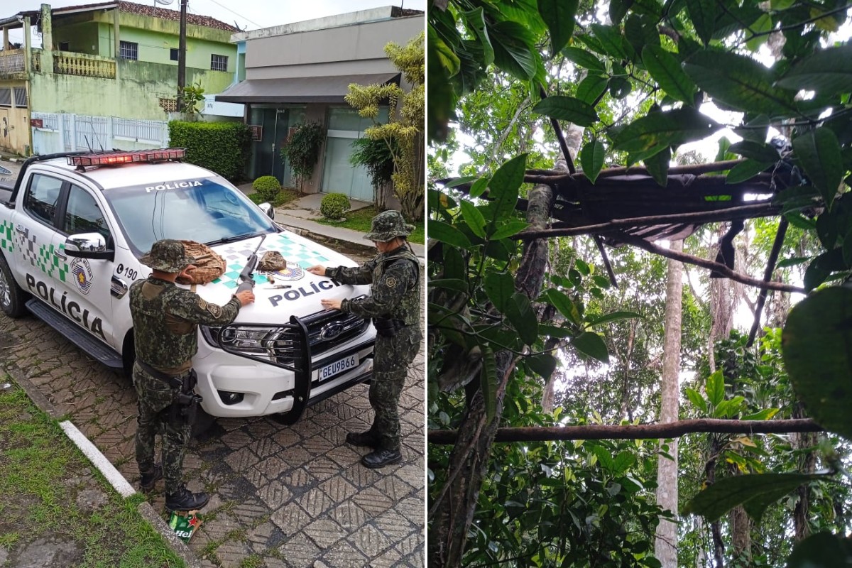 Homem é preso em flagrante por caça ilegal durante operação da PM Ambiental no interior de SP